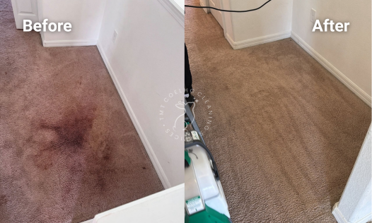 CARPET CLEANING (2)