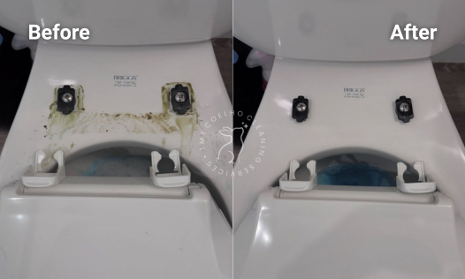 DEEP CLEANING (3)