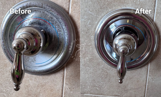 DEEP CLEANING (4)