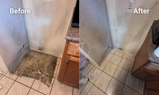 DEEP CLEANING (7)