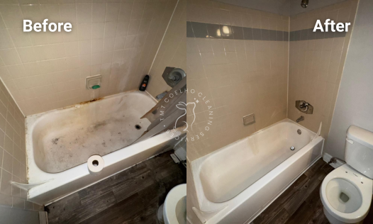 DEEP CLEANING (9)